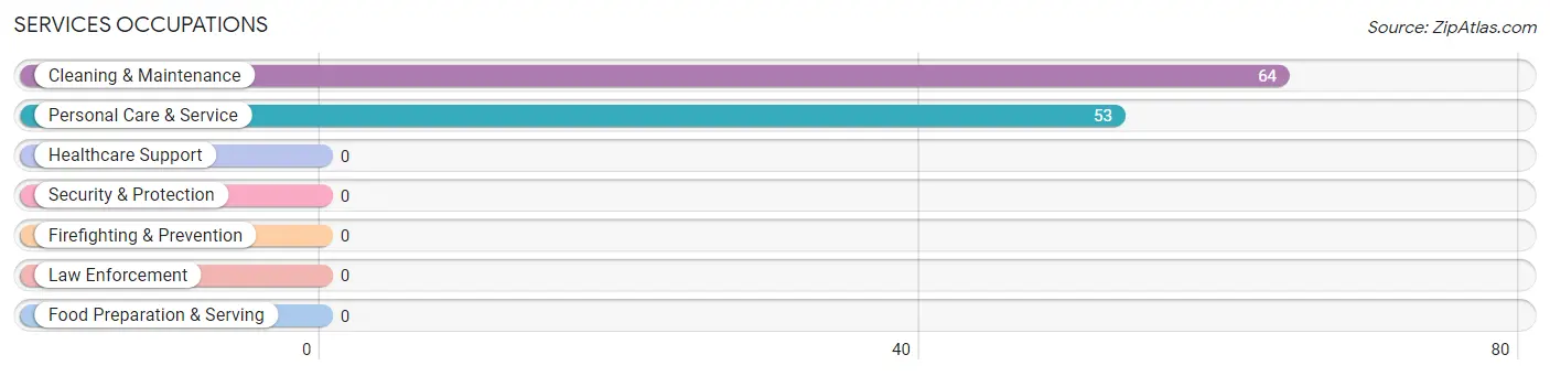 Services Occupations in Zip Code 77982