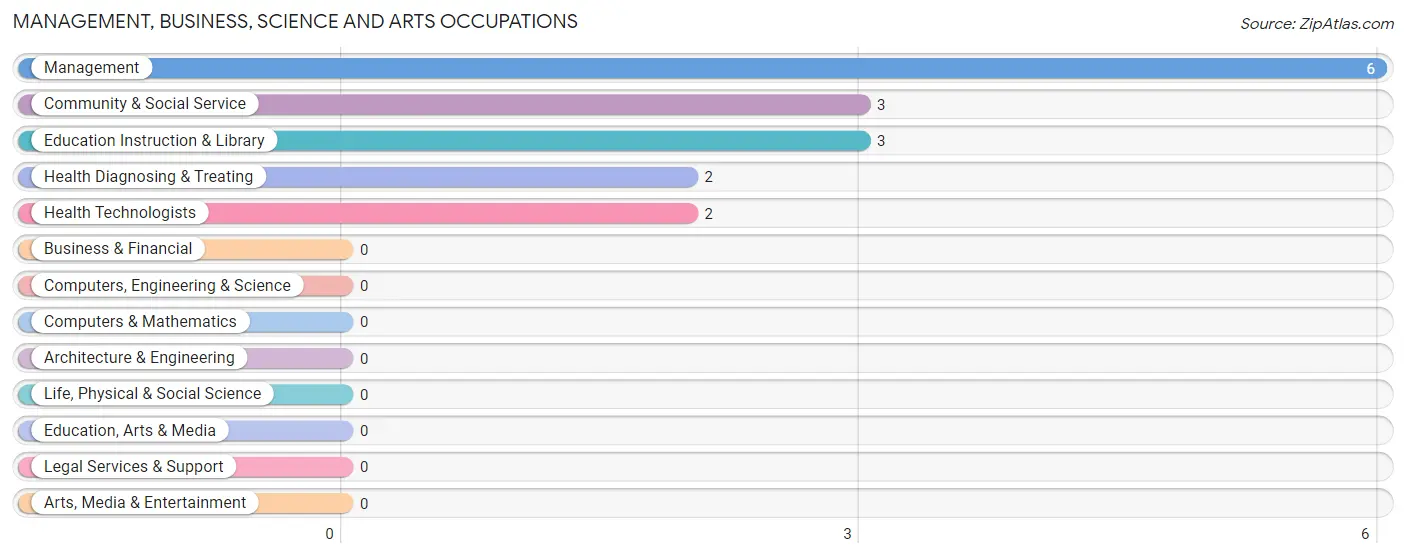 Management, Business, Science and Arts Occupations in Zip Code 77987