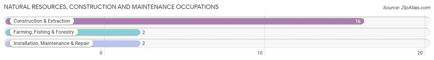 Natural Resources, Construction and Maintenance Occupations in Zip Code 77987