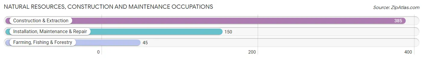 Natural Resources, Construction and Maintenance Occupations in Zip Code 77995