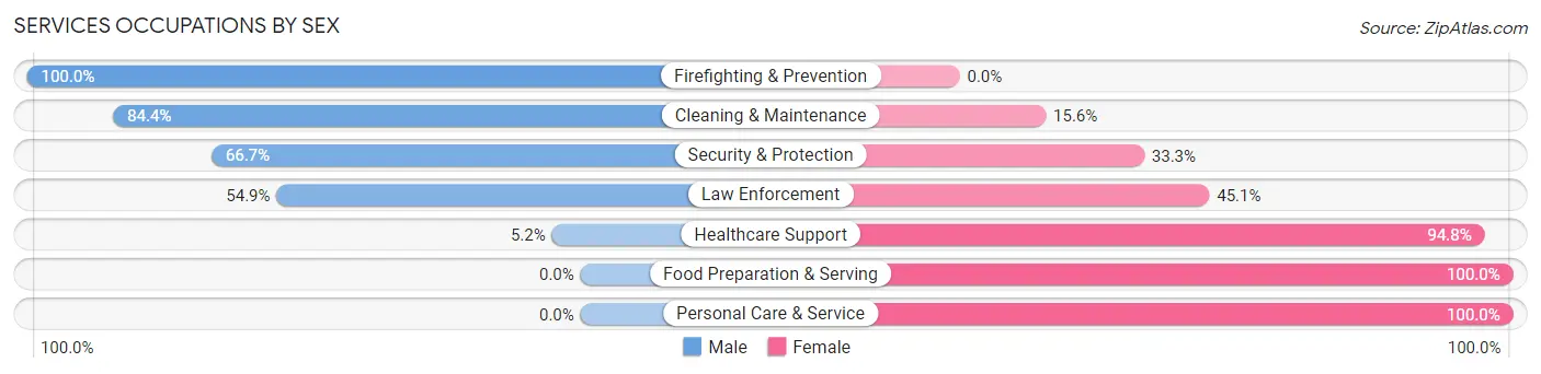 Services Occupations by Sex in Zip Code 78059