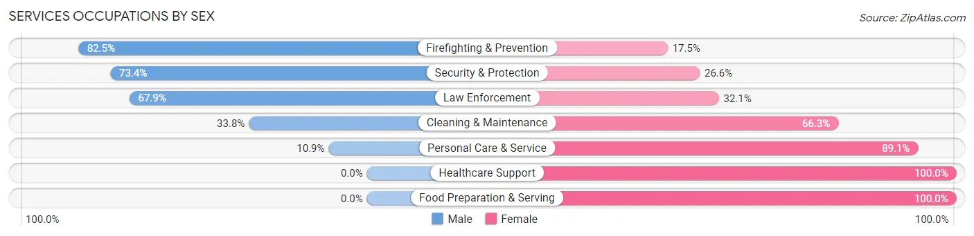 Services Occupations by Sex in Zip Code 78101