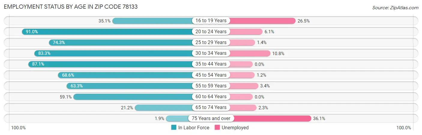 Employment Status by Age in Zip Code 78133