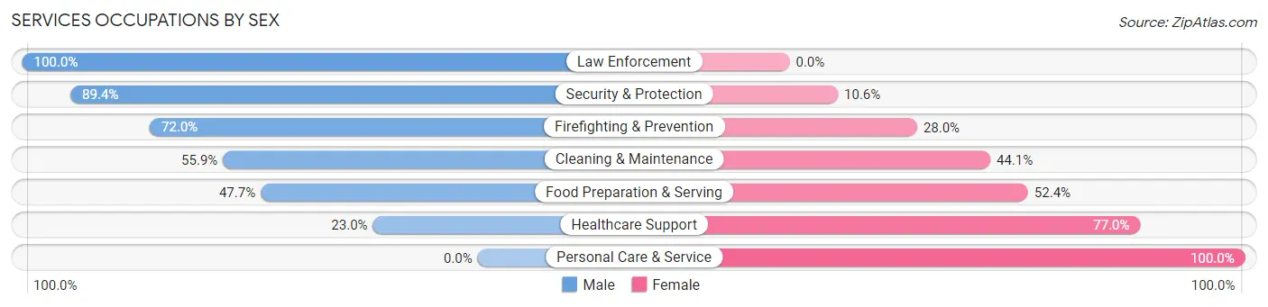 Services Occupations by Sex in Zip Code 78133
