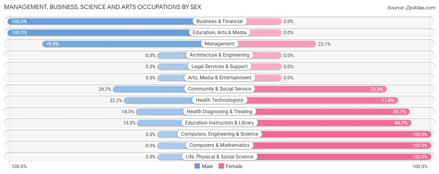 Management, Business, Science and Arts Occupations by Sex in Zip Code 78141