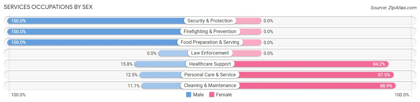 Services Occupations by Sex in Zip Code 78141