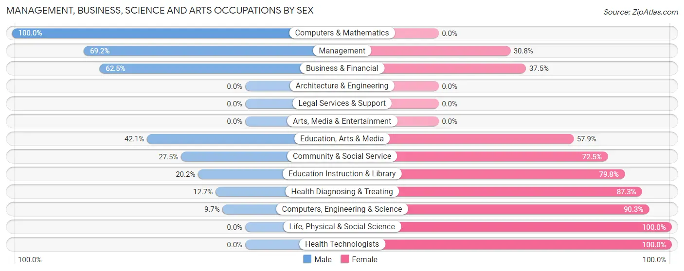 Management, Business, Science and Arts Occupations by Sex in Zip Code 78160