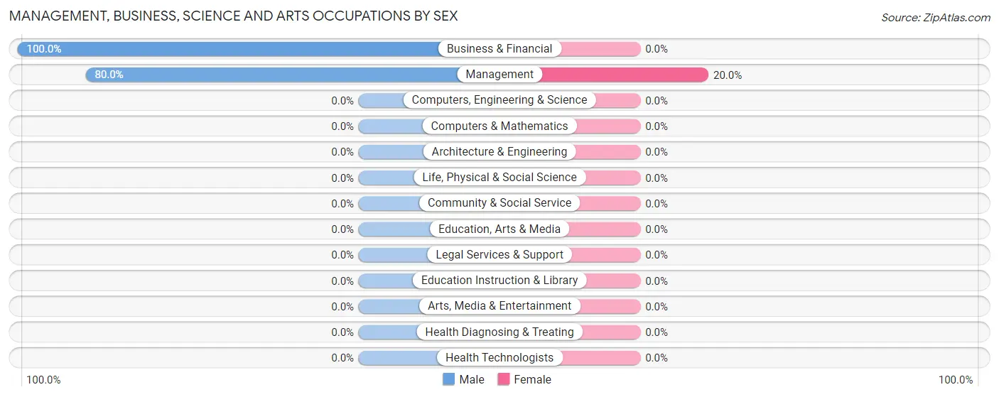 Management, Business, Science and Arts Occupations by Sex in Zip Code 78161