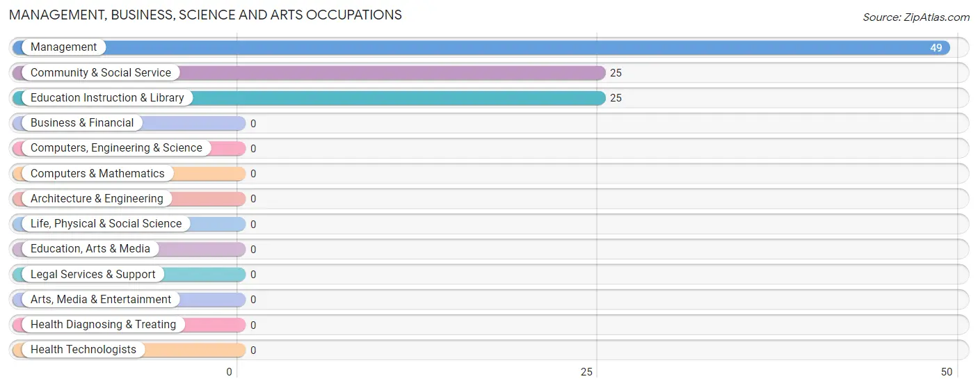 Management, Business, Science and Arts Occupations in Zip Code 78162