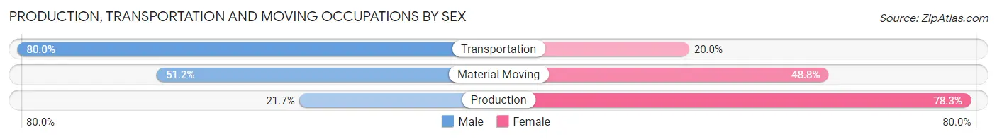 Production, Transportation and Moving Occupations by Sex in Zip Code 78163