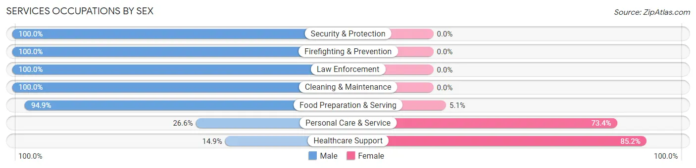 Services Occupations by Sex in Zip Code 78163