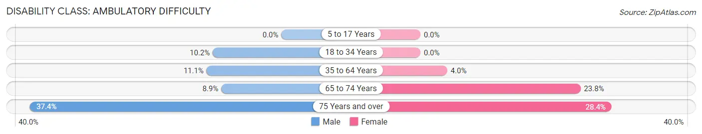 Disability in Zip Code 78164: <span>Ambulatory Difficulty</span>