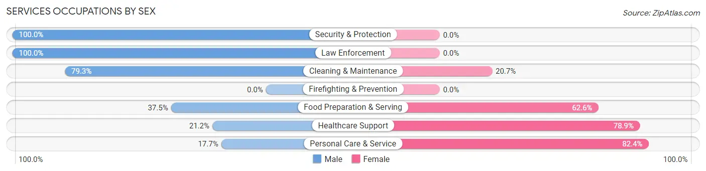 Services Occupations by Sex in Zip Code 78226
