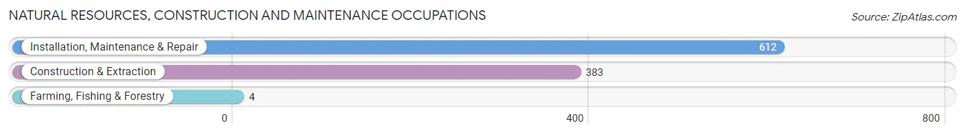 Natural Resources, Construction and Maintenance Occupations in Zip Code 78232