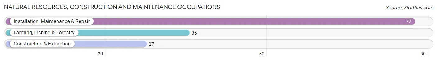 Natural Resources, Construction and Maintenance Occupations in Zip Code 78236