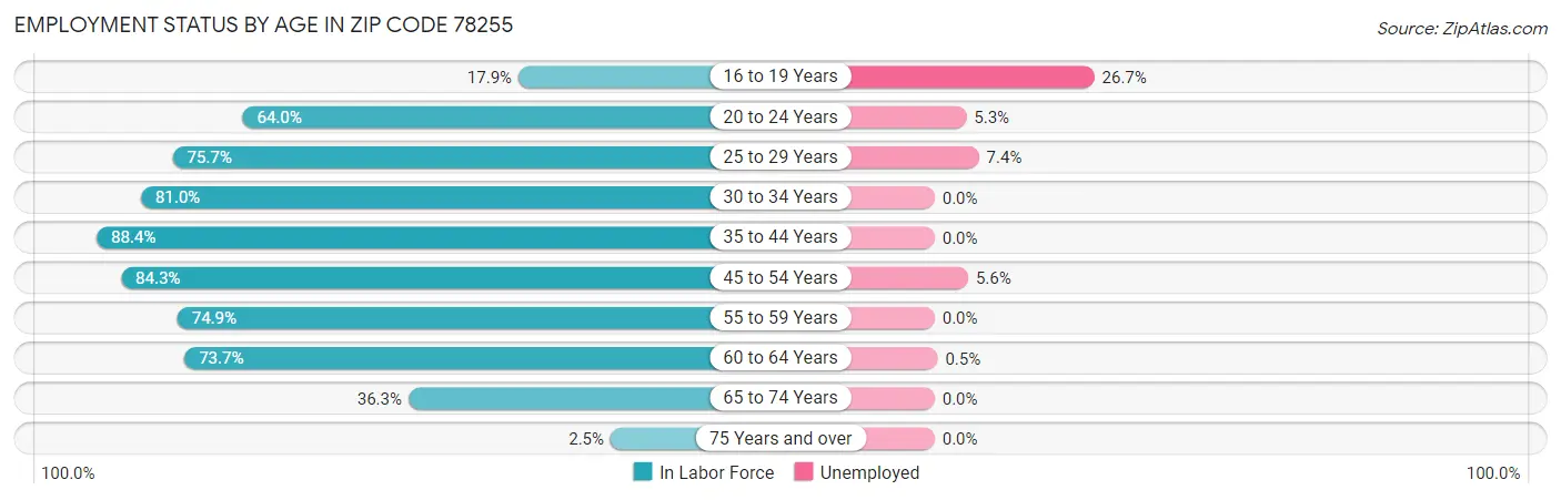 Employment Status by Age in Zip Code 78255