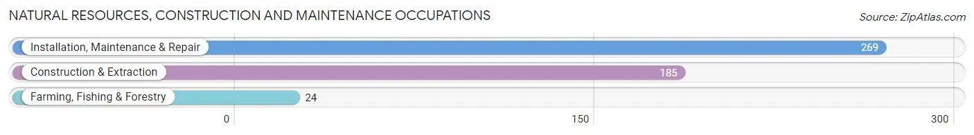 Natural Resources, Construction and Maintenance Occupations in Zip Code 78255