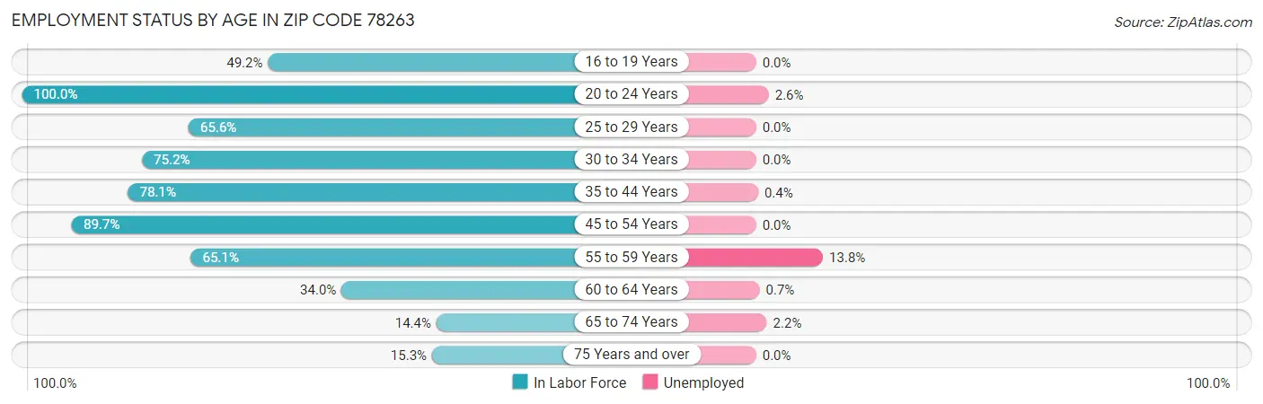 Employment Status by Age in Zip Code 78263