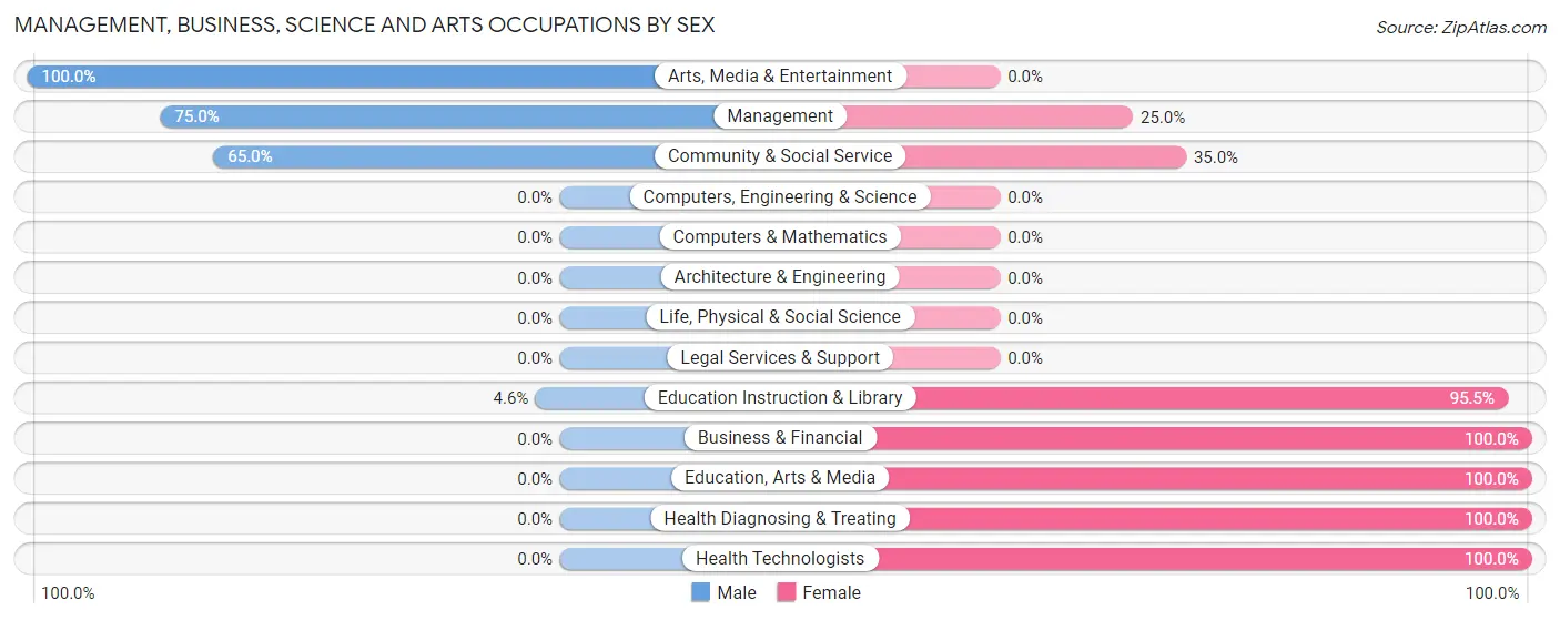Management, Business, Science and Arts Occupations by Sex in Zip Code 78341