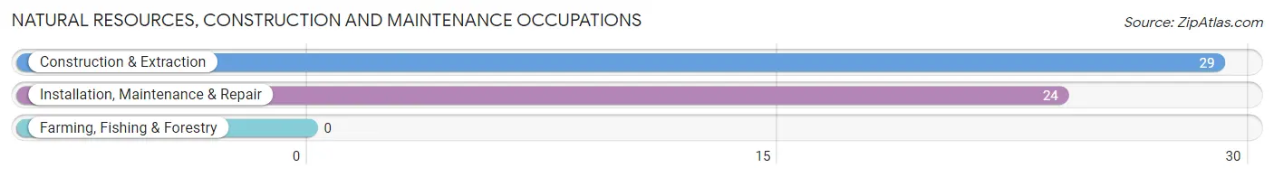 Natural Resources, Construction and Maintenance Occupations in Zip Code 78351