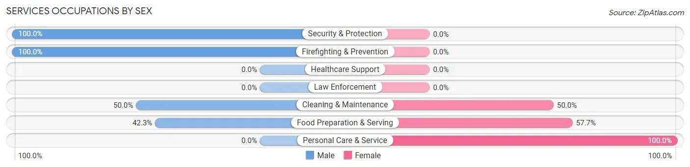 Services Occupations by Sex in Zip Code 78373