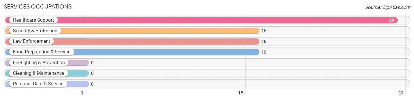 Services Occupations in Zip Code 78419