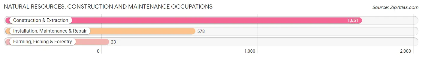 Natural Resources, Construction and Maintenance Occupations in Zip Code 78520