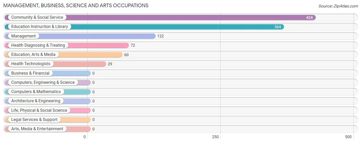 Management, Business, Science and Arts Occupations in Zip Code 78560