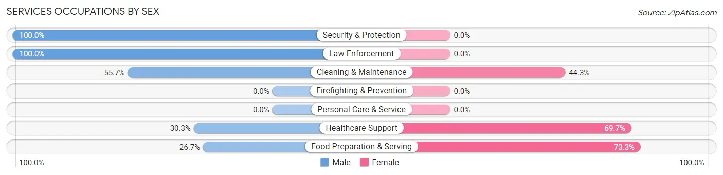 Services Occupations by Sex in Zip Code 78575