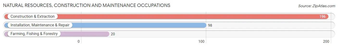 Natural Resources, Construction and Maintenance Occupations in Zip Code 78578