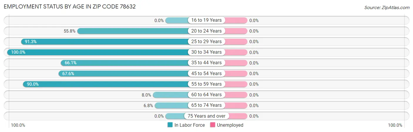 Employment Status by Age in Zip Code 78632