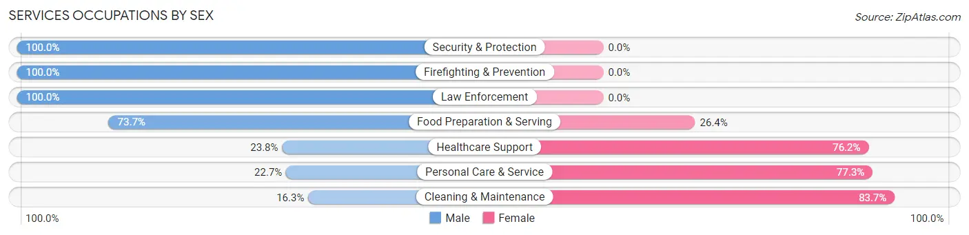 Services Occupations by Sex in Zip Code 78645