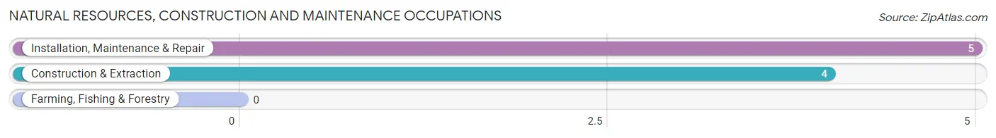 Natural Resources, Construction and Maintenance Occupations in Zip Code 78670