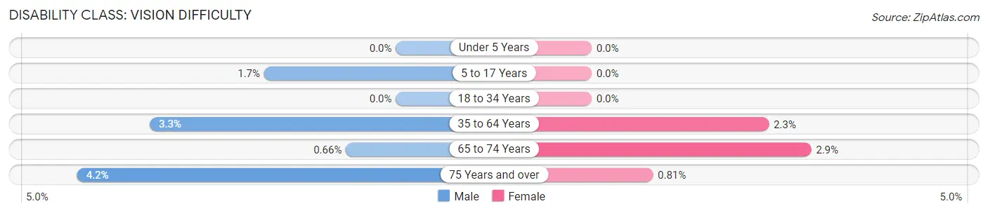 Disability in Zip Code 78676: <span>Vision Difficulty</span>