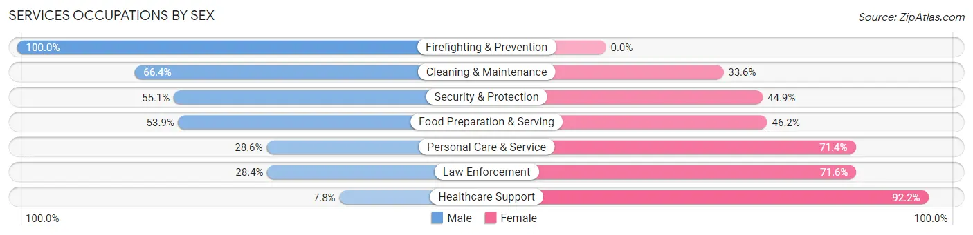Services Occupations by Sex in Zip Code 78704