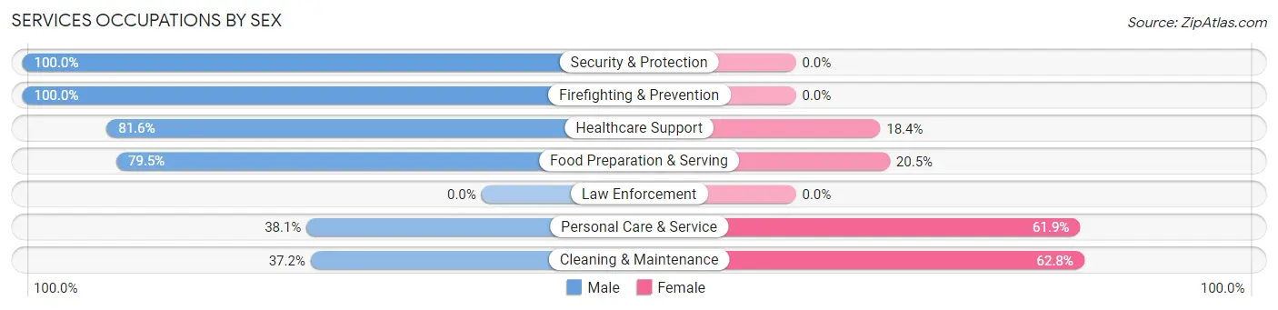 Services Occupations by Sex in Zip Code 78722