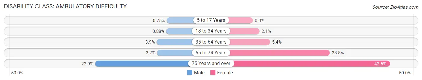 Disability in Zip Code 78728: <span>Ambulatory Difficulty</span>