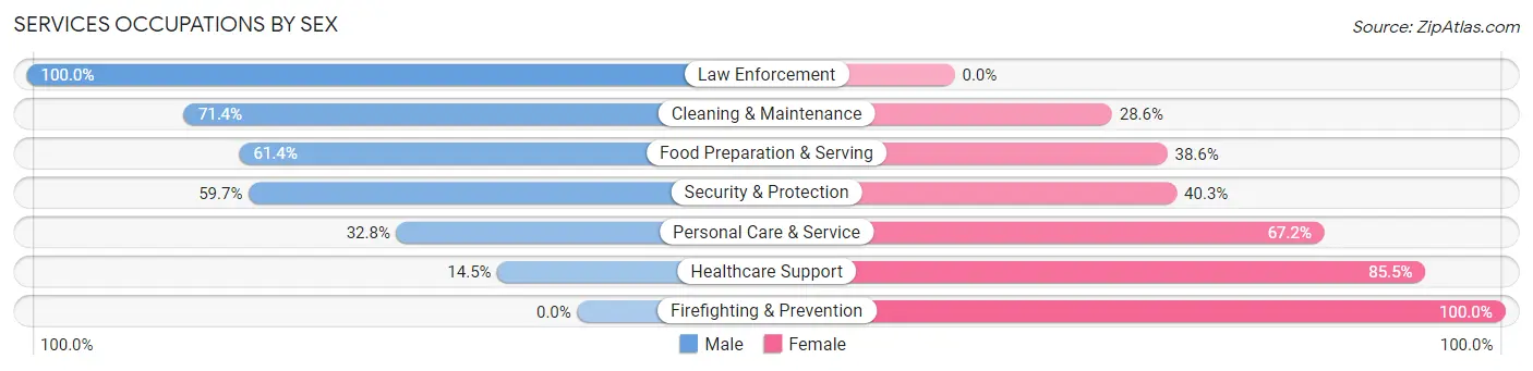 Services Occupations by Sex in Zip Code 78729