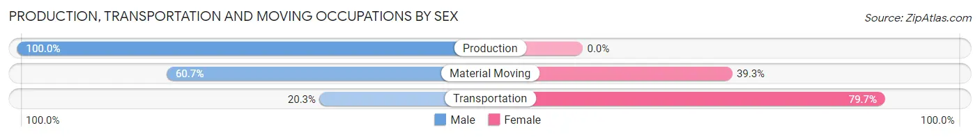 Production, Transportation and Moving Occupations by Sex in Zip Code 78732