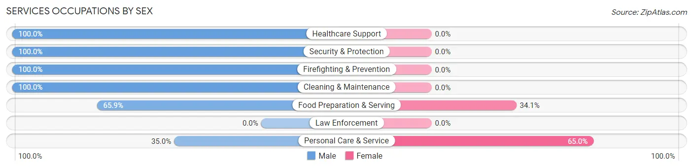 Services Occupations by Sex in Zip Code 78732