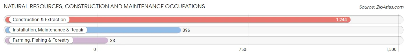 Natural Resources, Construction and Maintenance Occupations in Zip Code 78752