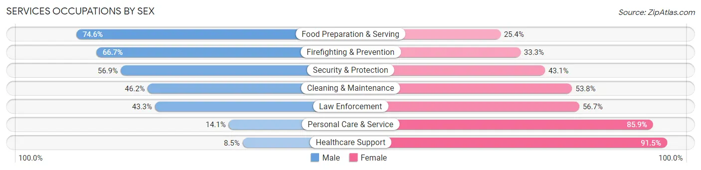 Services Occupations by Sex in Zip Code 78754