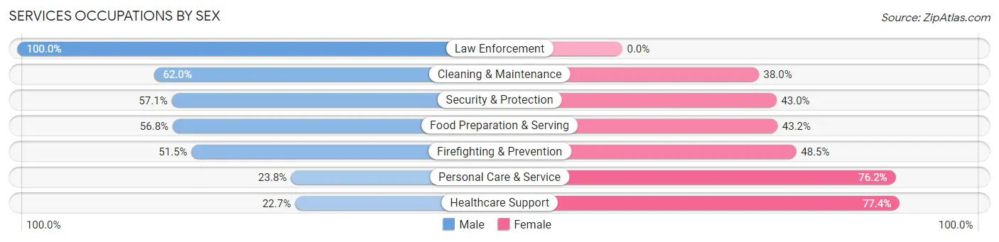 Services Occupations by Sex in Zip Code 78758