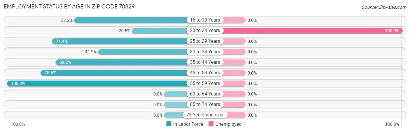 Employment Status by Age in Zip Code 78829