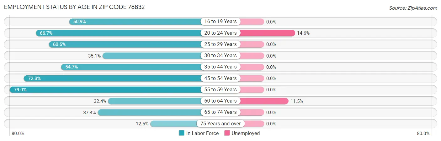 Employment Status by Age in Zip Code 78832