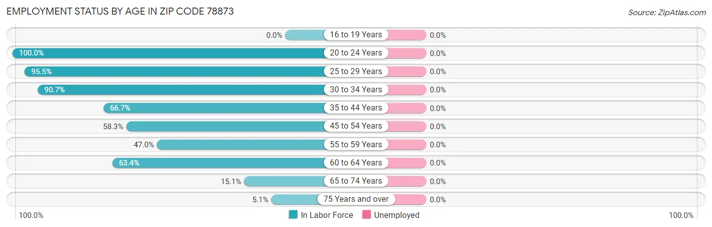 Employment Status by Age in Zip Code 78873