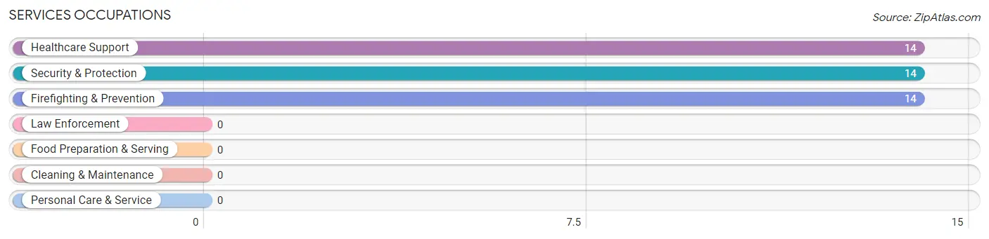 Services Occupations in Zip Code 78886