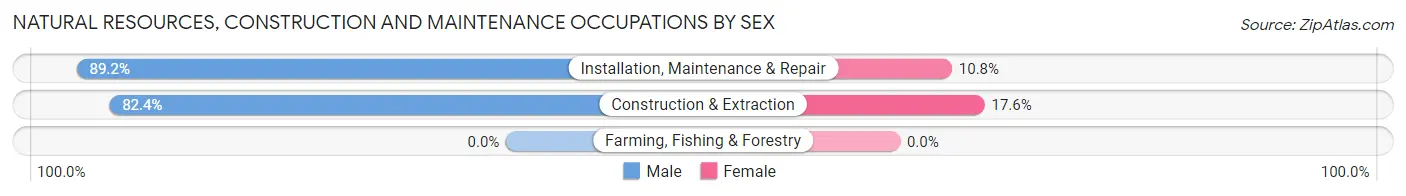 Natural Resources, Construction and Maintenance Occupations by Sex in Zip Code 78942
