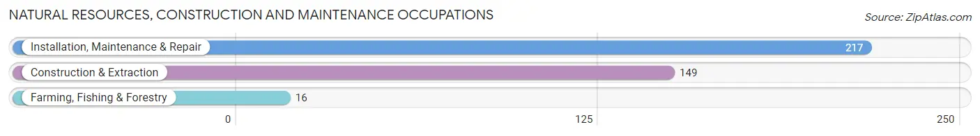 Natural Resources, Construction and Maintenance Occupations in Zip Code 78956