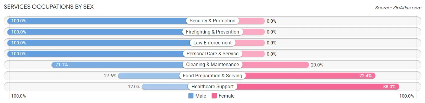 Services Occupations by Sex in Zip Code 79019